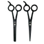 SHEARS